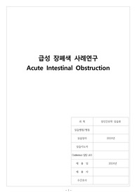 A+ 보장된 장폐색증 Acute Intestinal Obstruction case/간호진단 4개, 간호진단 우선순위 1, 2번에 대한 간호중재