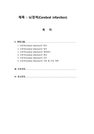 성인간호학실습 통합임상실습 A+ 뇌경색 문헌고찰 간호과정 운동 기능 저하와 관련된 낙상위험성, 보행장애, 언어 능력 손상과 관련된 언어적 의사소통 장애