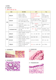 2025년 임상병리사 국가고시 조직학 정리본