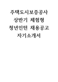 주택도시보증공사 상반기 체험형  청년인턴 채용공고 자기소개서