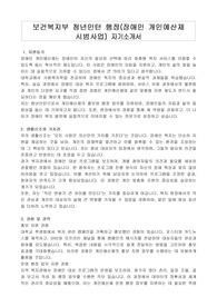 보건복지부 청년인턴 행정(장애인 개인예산제 시범사업) 자기소개서, 직무수행계획서
