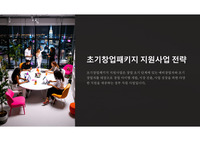 초기창업패키지 지원사업 전략 ppt
