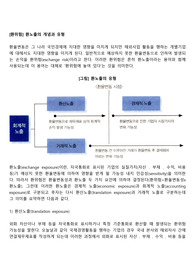 [환위험] 환노출의 개념과 유형