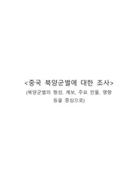 [전환기 근대사의 조명 A+] 중국 북양군벌에 대한 조사 레포트