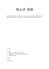 [A 레포트]청소년문화-청소년이 학교 밖에서 여가를 보낼 수 있는 공간 및 시설과 관련한 사례를 찾아 이용 현황 및 실태를 조사하고, 청소년의 건전한 여가문화를 조성하기 위한 방안을 제시하시오.
