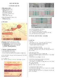 NSCA - CSCS 시험 정리본 (트레이닝의 정수)
