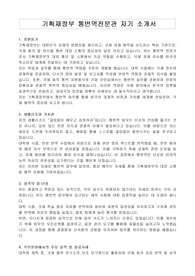 기획재정부 통번역전문관 자기 소개서, 직무수행계획서