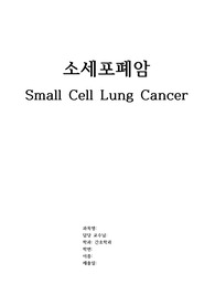 A+++ 성인간호 소세포폐암 CASE STUD