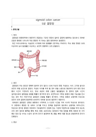 성인 a+ 받은 케이스스터디, S상 결장암