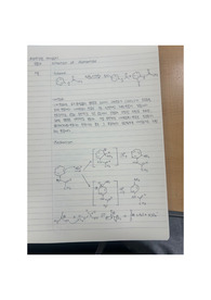 유기화학실험 예비보고서 실험4 Nitration of acetanilide