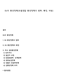 EU의 통상정책(유럽연합 통상정책의 변화, 특징, 내용)