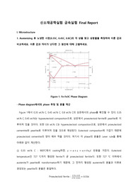 [신소재공학실험] 금속실험_Final Report