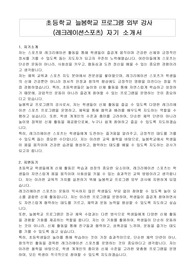 초등학교 늘봄학교 프로그램 외부 강사 (레크레이션스포츠) 자기 소개서, 프로그램운영계획서
