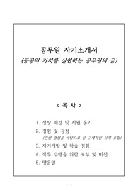 [합격] 2024년 공무원 자기소개서 - 관련 경험 사례 포함