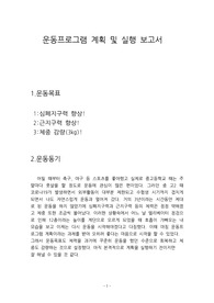 운동프로그램 계획 및 실행 레포트
