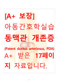 [A+ 보장]아동간호학실습 동맥관 개존증(Patent ductus arteriosus, PDA) 간호, 간호진단, 간호과정, 컨퍼런스, 케이스스터디 17페이지 자료입니다.
