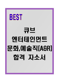 [A+] 큐브엔터테인먼트 문화,예술직(A&amp;R) 합격자소서