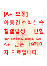 [A+ 보장]아동간호학실습 철결핍성 빈혈(Iron deficiency anemia, IDA) 간호, 간호진단, 간호과정, 컨퍼런스, 케이스스터디 19페이지 자료입니다.