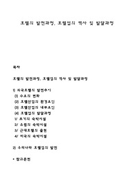 호텔의 발전과정, 호텔업의 역사 및 발달과정