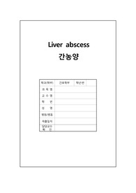 성인간호학_간농양_Liver abscess_간호진단3개_간호과정3개_A+