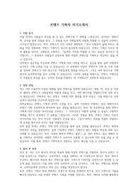 자소서(콘텐츠 기획자) &#039;대기업 최종 합격&#039; &#039;본인 작성&#039;