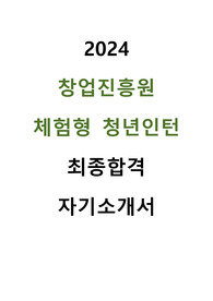 2024 창업진흥원 체험형 청년인턴 합격 자기소개서