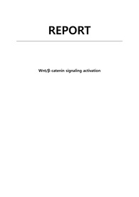 [A]서강대학교 현대생물학실험4_2차 풀레포트__Wnt,B-catenin signaling activation