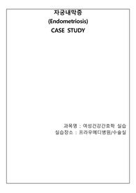 자궁내막증 케이스