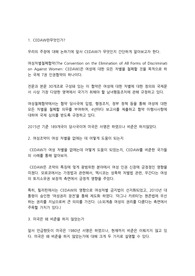 CEDAW 여성차별철폐협약 찬성