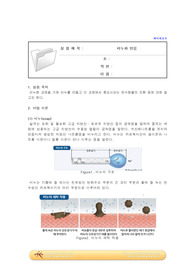 A+) 대학화학및실험2 비누화 반응 예비레포트