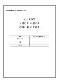 지역사회간호학 보건간호 사업기획 보고서