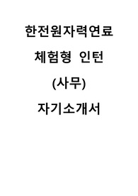 2025년도 한전원자력연료 상반기 체험형 청년인턴 채용