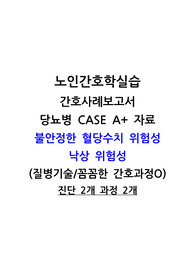 노인간호학실습 당뇨병 CASE A+ 자료 불안정한혈당수치위험성, 낙상위험성 (질병기술/꼼꼼한 간호과정O) 진단 2개 과정 2개