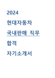 현대자동차 국내판매 직무 합격 자기소개서