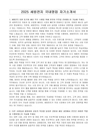 2025 세방전지 국내영업 자기소개서
