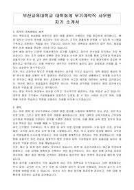 부산교육대학교 대학회계 무기계약직 사무원 자기 소개서