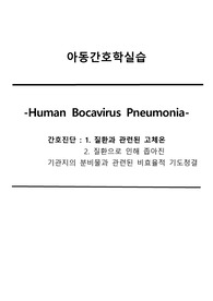 아동간호학 폐렴 케이스 스터디 간호진단 2개 간호과정 1개 바이러스, 원인균 상세하게 있음 A+받음
