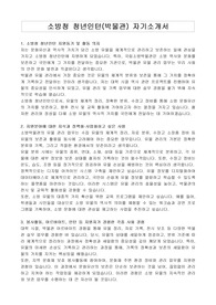 소방청 청년인턴(박물관) 자기소개서
