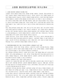 소방청 청년인턴(소방악대) 자기소개서