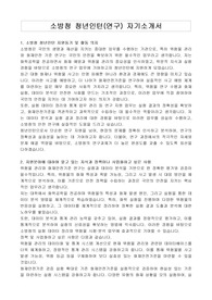 소방청 청년인턴(연구) 자기소개서