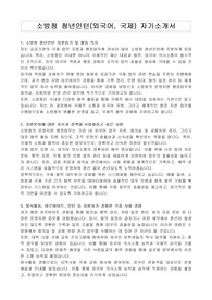 소방청 청년인턴(외국어, 국제) 자기소개서