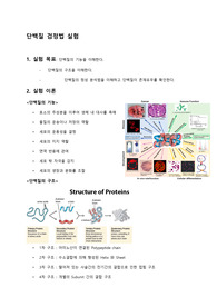 고려대 일반생물학 실험 레포트_단백질 검정법 실험 결과 레포트 (실험 목표, 이론, 방법, 결과, 고찰 포함)