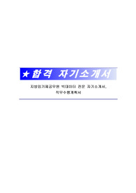 지방임기제공무원 빅데이터 전문 자기소개서, 직무수행계획서