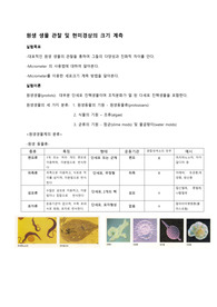 고려대 일반생물학 실험 레포트_원생 생물 관찰 및 현미경상의 크기 계측 실험 결과 레포트 (실험 목표, 이론, 방법, 결과, 고찰 포함)