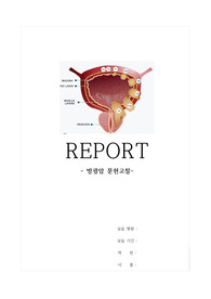 방광암 문헌고찰