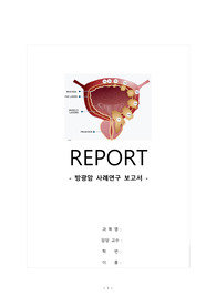 A++) 방광암 간호과정 (간호진단4개, 간호과정3개)