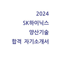 2024 sk하이닉스 sk hynix 양산기술 직무 합격 자기소개서