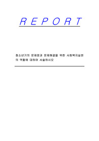 청소년기의 문제점과 문제해결을 위한 사회복지실천의 역할에 대하여 서술하시오