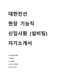 대한전선 현장 기능직 설비팀 자기소개서