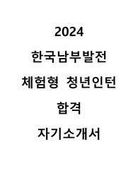 2024 한국남부발전 체험형 청년인턴 합격 자기소개서